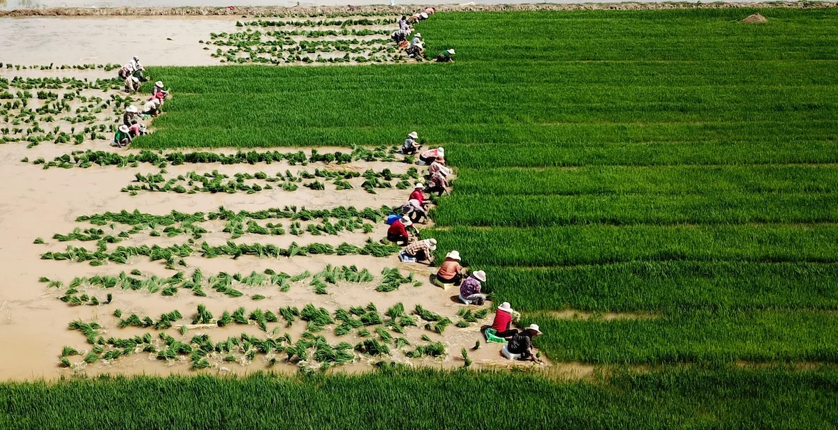 A decade after Paris Agreement established the mechanism, its first set of credits has been approved – but concerns over legacy projects persist