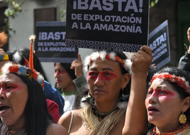 Ecuador Fails to Comply with Inter-American Court Ruling to Protect Isolated Indigenous Peoples in Yasuní National Park