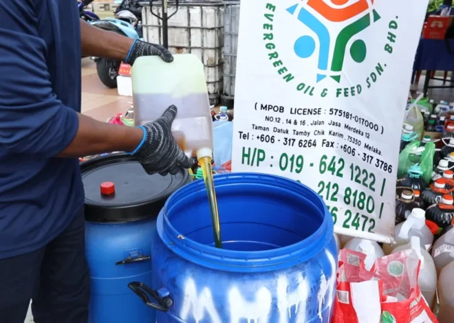 Investigation finds Neste exposed to fraud risk after its top Malaysian supplier accepted fresh palm oil as used cooking oil, with no questions asked.