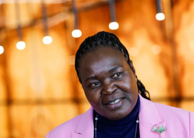 Uganda’s oil ambitions under fire for relying on pessimistic IEA climate scenarios