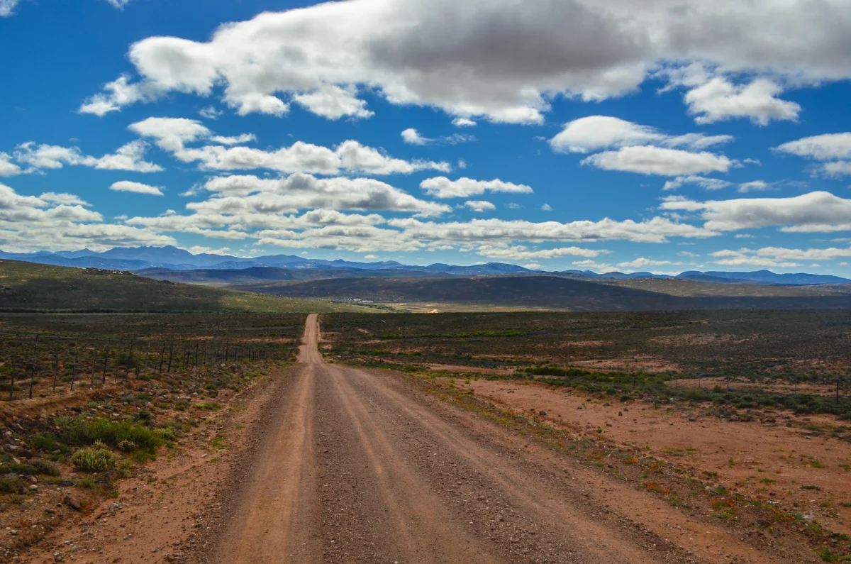 UN climate chief Simon Stiell calls for accelerated renewable transition as Gulf energy crisis triggers global price shock