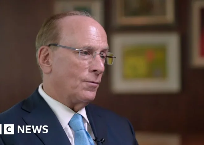 We need more plumbers and fewer lawyers in AI age, says BlackRock boss