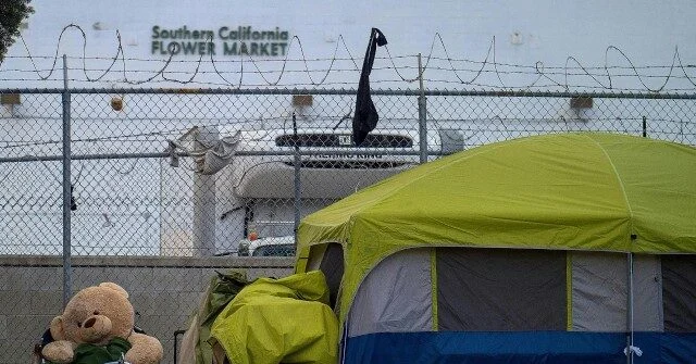 Former Democratic Strategist Julian Epstein Critiques Party’s Perceived Inability to Deliver Tangible Infrastructure and Social Progress