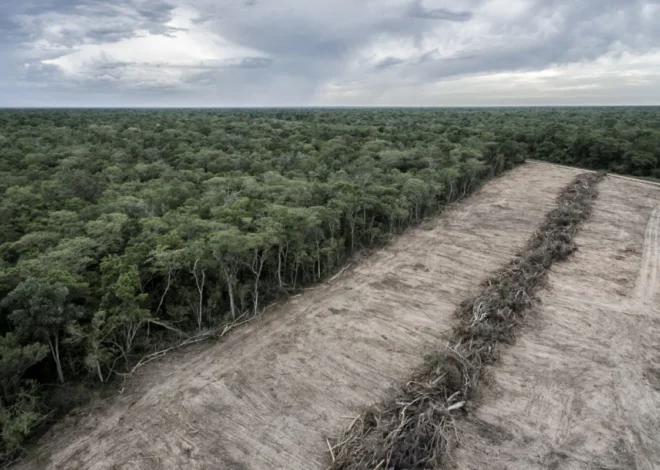 GEF raises $3.9bn ahead of funding deadline, $1bn below previous budget