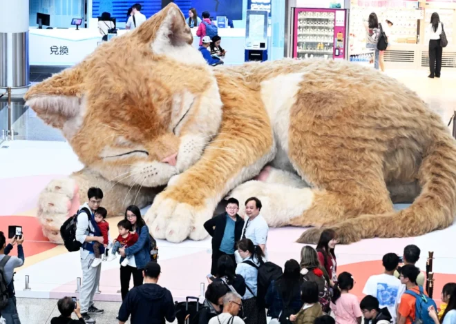 The Feline Phenomenon: Contemporary Art Embraces Playfulness and Global Appeal, as Seen in Hong Kong Airport Installation