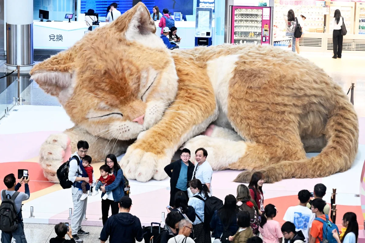 The Feline Phenomenon: Contemporary Art Embraces Playfulness and Global Appeal, as Seen in Hong Kong Airport Installation