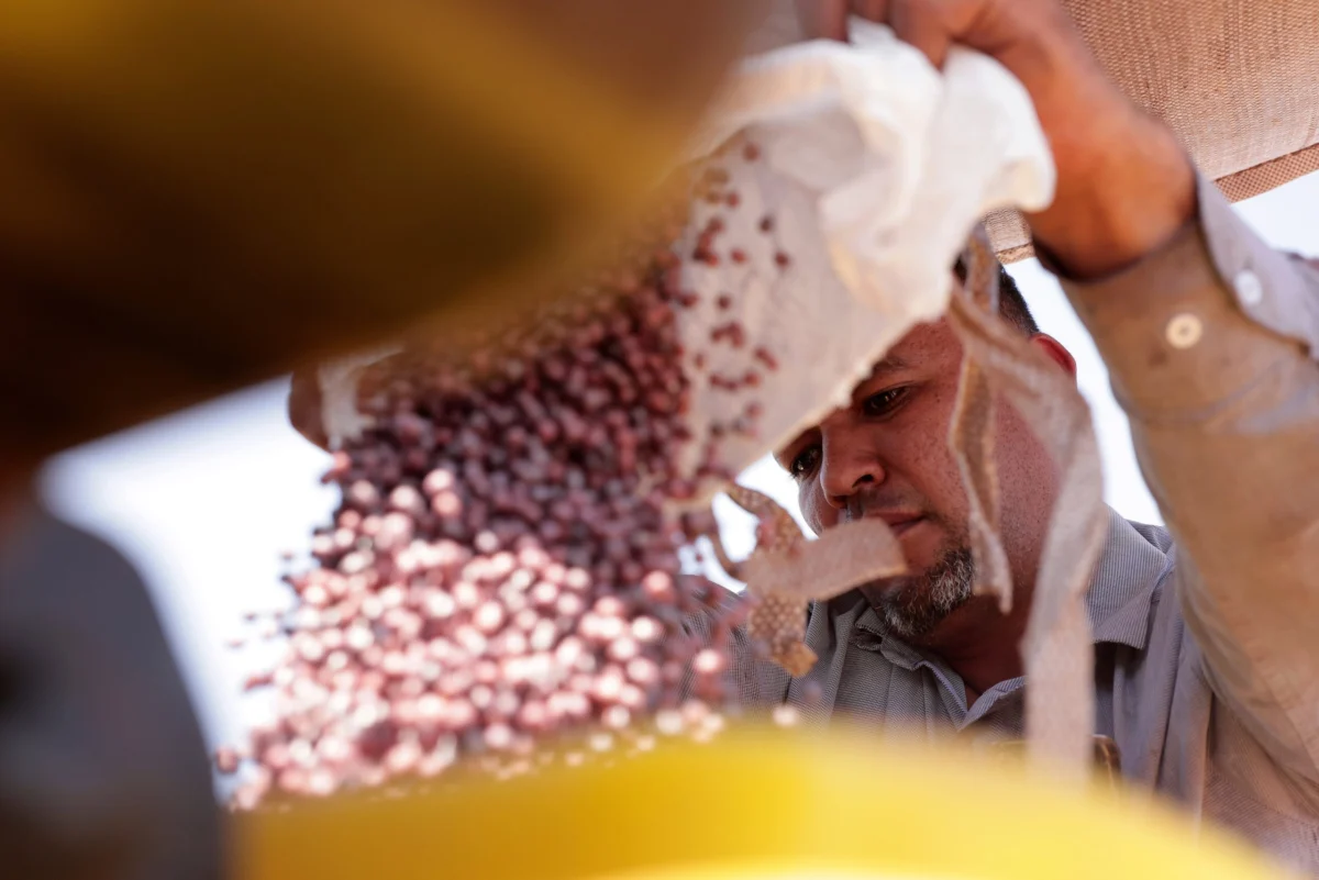 Argentina Seeks Consensus on UPOV 1991 Adhesion with Virtual Expert Meeting