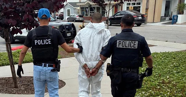 California: 19-Year-Old Accused of Fatally Stabbing Elderly Artist Had ‘Homicidal Fantasies’