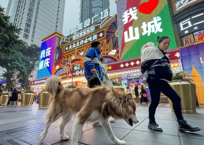 China’s Growing Animal Welfare Movement Faces Systematic Suppression Amid Rising Instances of Cruelty