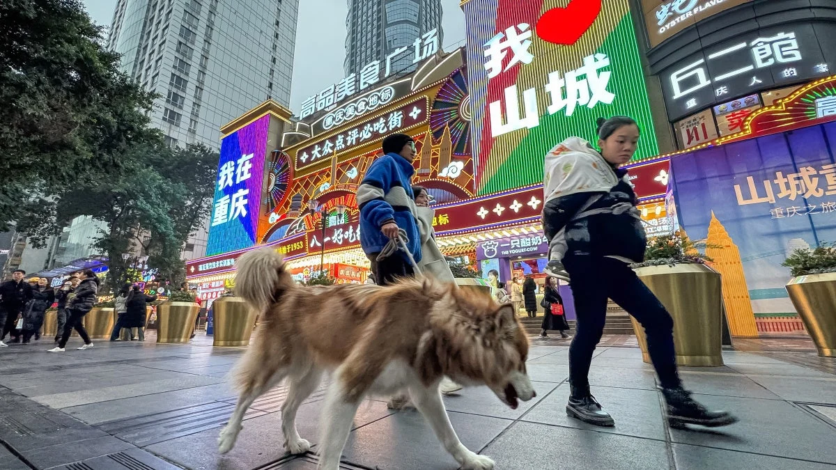 China’s Growing Animal Welfare Movement Faces Systematic Suppression Amid Rising Instances of Cruelty
