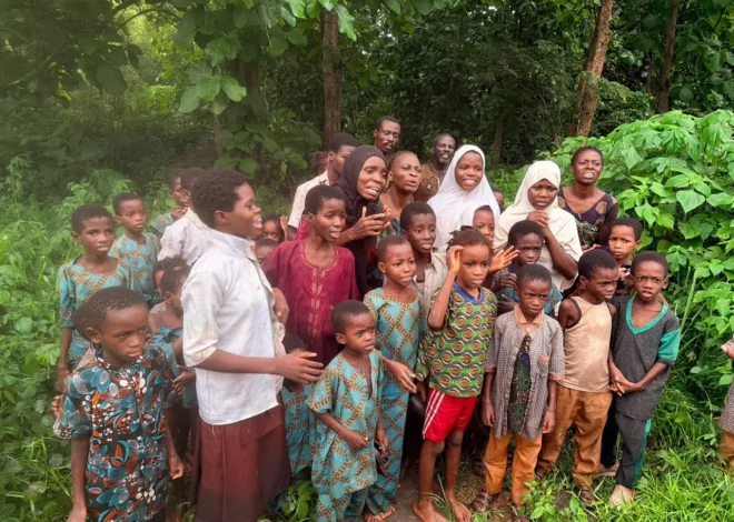 Conflicting Narratives Emerge Over Rescue of Abducted Oyo Pupils and Teachers as Security Expert Clarifies Operational Realities