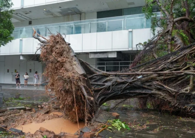 El Niño Set to Supercharge Typhoons and Intensify Extreme Weather in Hong Kong, Experts Warn
