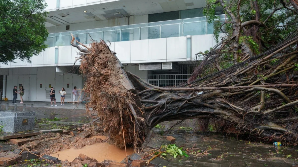 El Niño Set to Supercharge Typhoons and Intensify Extreme Weather in Hong Kong, Experts Warn