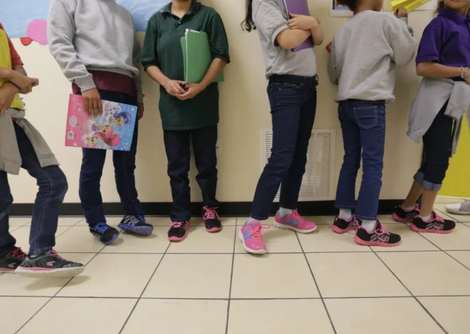 Federal Oversight or Strategic Intimidation: Federal Agents Conduct Unannounced Inspections of Legal Aid Nonprofits Representing Migrant Children