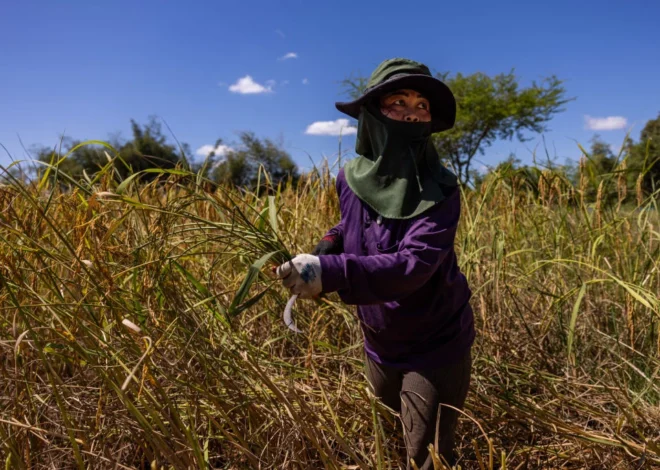 Global Climate Resilience Under Pressure as WMO Forecasts Historic El Nino Event for 2026