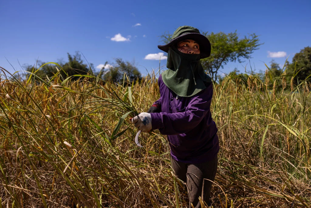 Global Climate Resilience Under Pressure as WMO Forecasts Historic El Nino Event for 2026