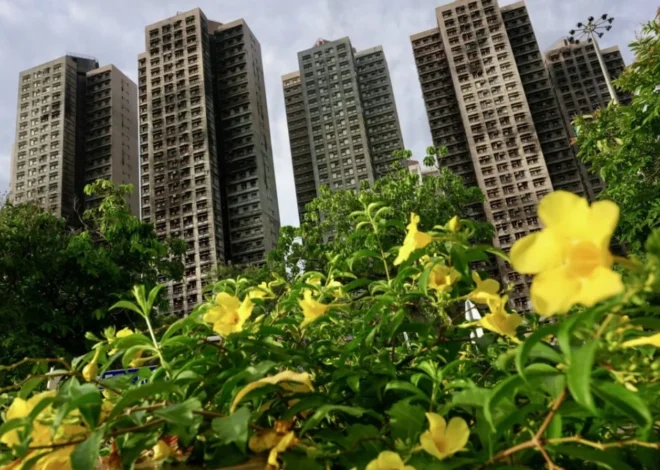 Hong Kong’s Self-Regulation System Under Scrutiny After Devastating Wang Fuk Court Fire