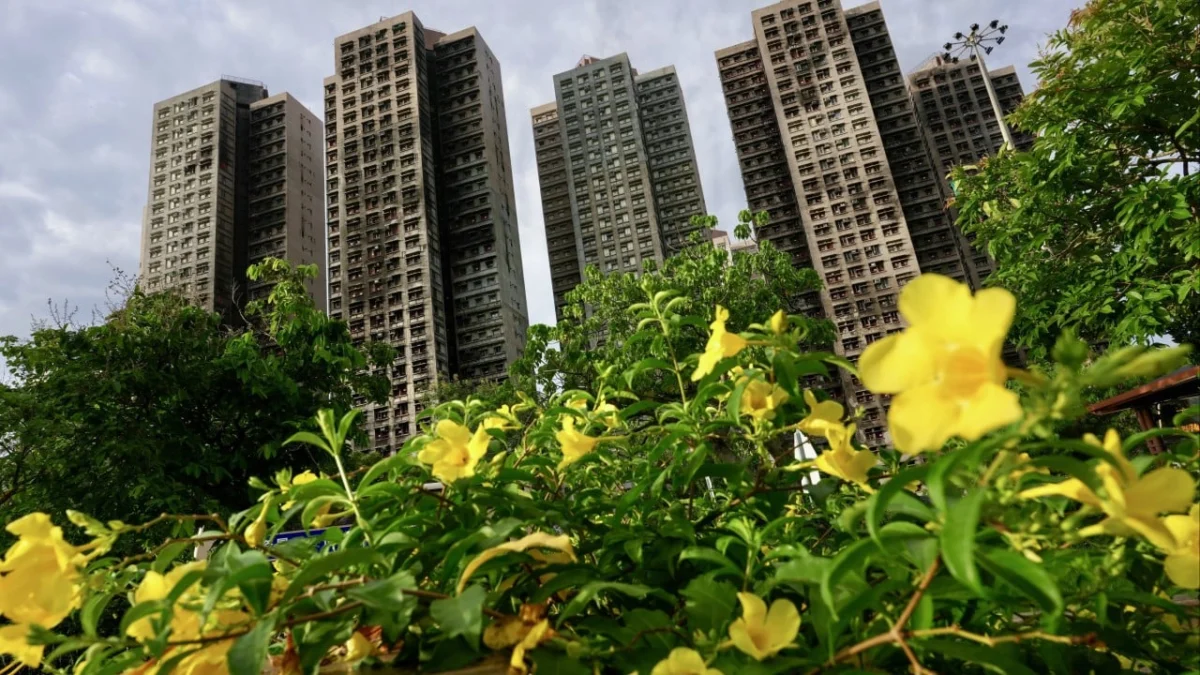 Hong Kong’s Self-Regulation System Under Scrutiny After Devastating Wang Fuk Court Fire