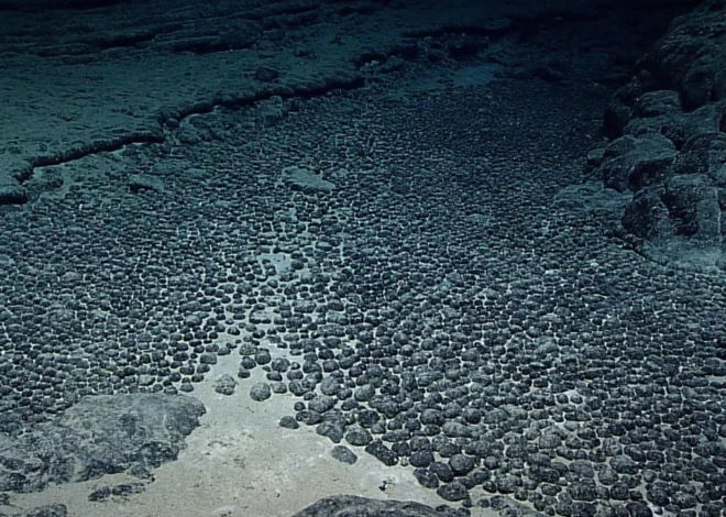 International Seabed Authority Asserts Global Governance as The Metals Company Challenges Regulatory Oversight in Deep-Sea Mining Dispute