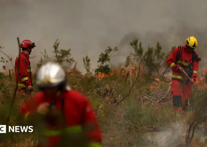 Massive Wildfires Ravage Southwestern Europe, Forcing Widespread Evacuations and Straining Emergency Services Amidst Unprecedented Heat.