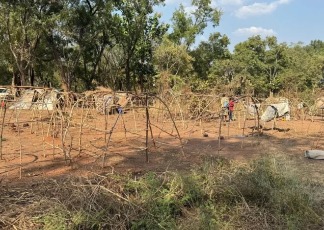 South Sudan Forces and Allied Militias Accused of War Crimes and Systematic Abuses Against Civilians in Nagero County