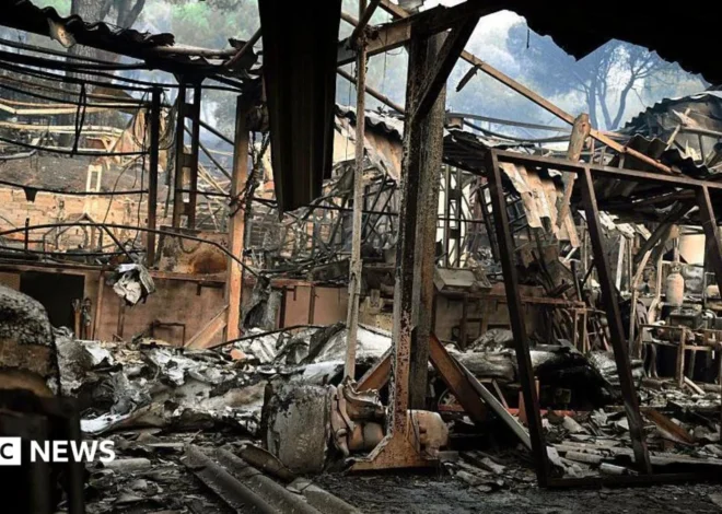 Spain Grapples with Unprecedented Wildfires Amidst Extreme Heatwave, Evacuations Mount Across Multiple Regions