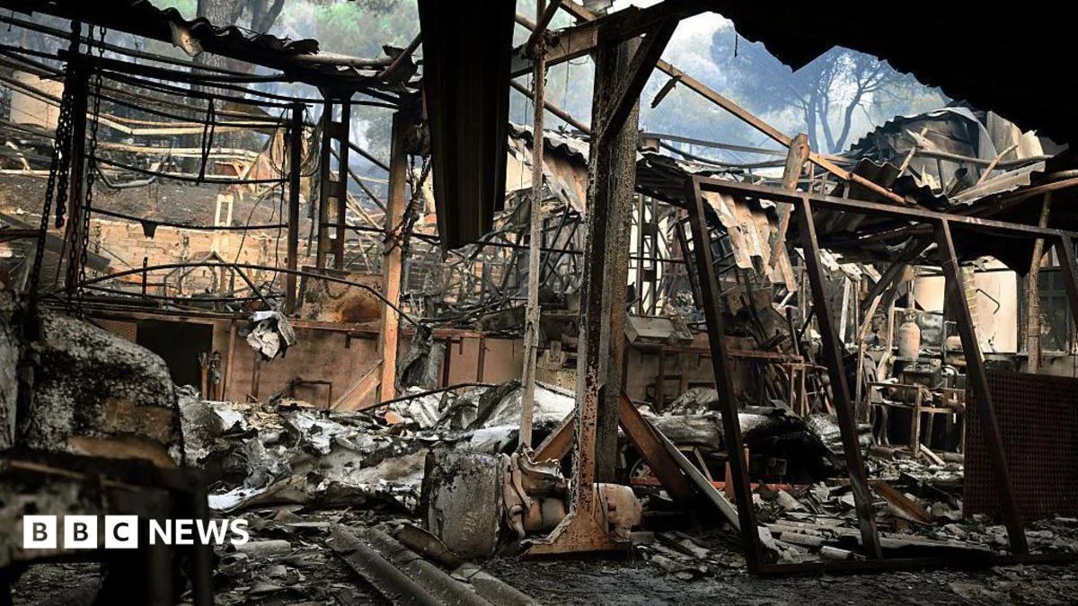 Spain Grapples with Unprecedented Wildfires Amidst Extreme Heatwave, Evacuations Mount Across Multiple Regions