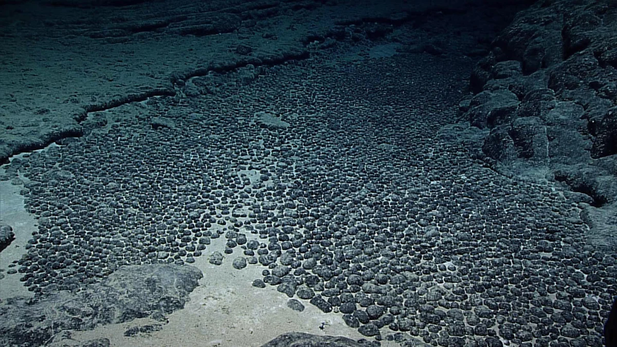 UN Seabed Authority Asserts Global Governance as Legal Battle with The Metals Company Escalates Over Deep-Sea Mining Rights