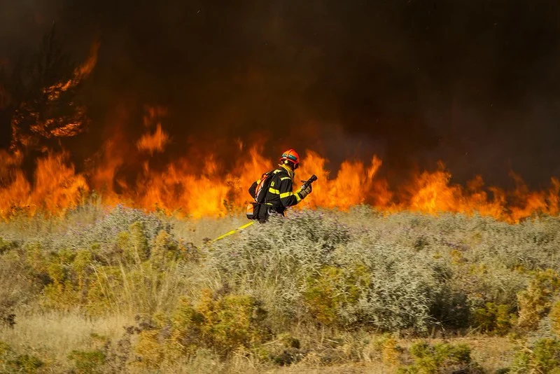 UN Secretary-General Warns of Escalating Climate Crisis as Wildfires Ravage Europe and El Niño Intensifies