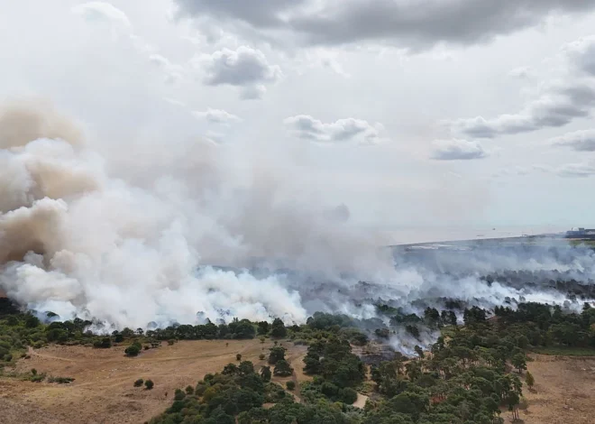 Wildfire Threatens Sizewell B Nuclear Plant as Wind Shift Looms, Raising Operational Concerns