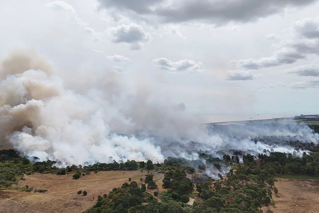 Wildfire Threatens Sizewell B Nuclear Plant as Wind Shift Looms, Raising Operational Concerns