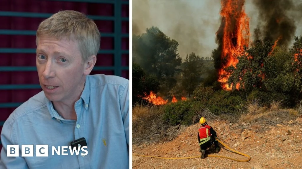 Wildfires: What you need to know for travel to France or Spain