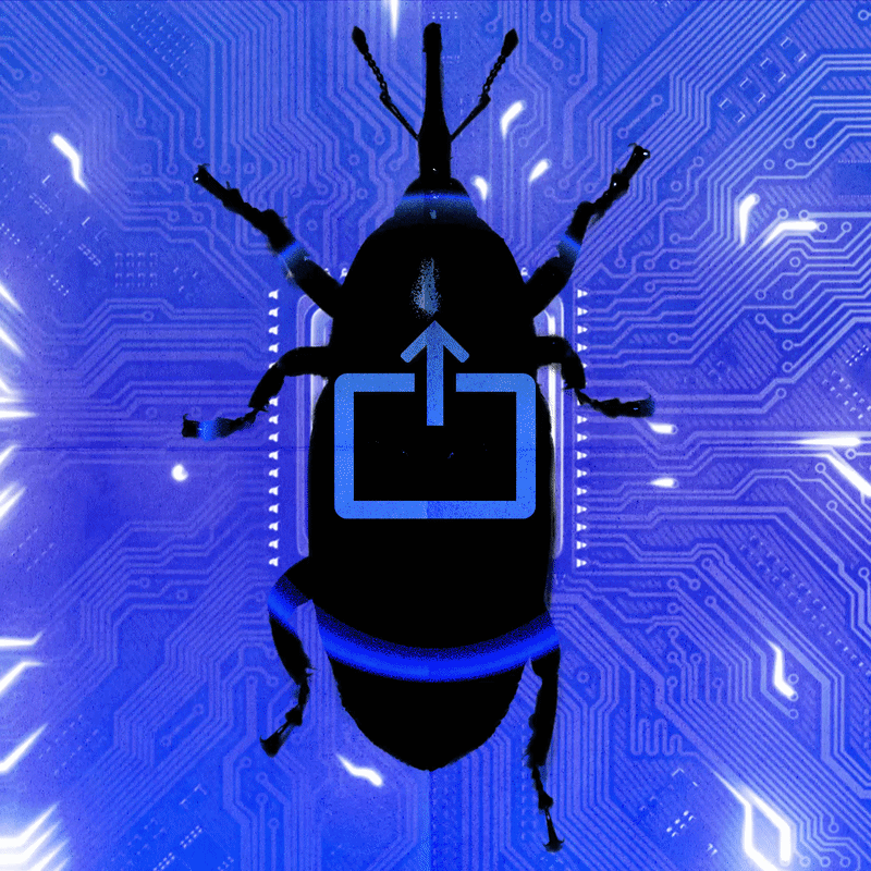 AI-Powered Vulnerability Discovery Accelerates Cybersecurity Risks as Zoom Patches Critical Flaws