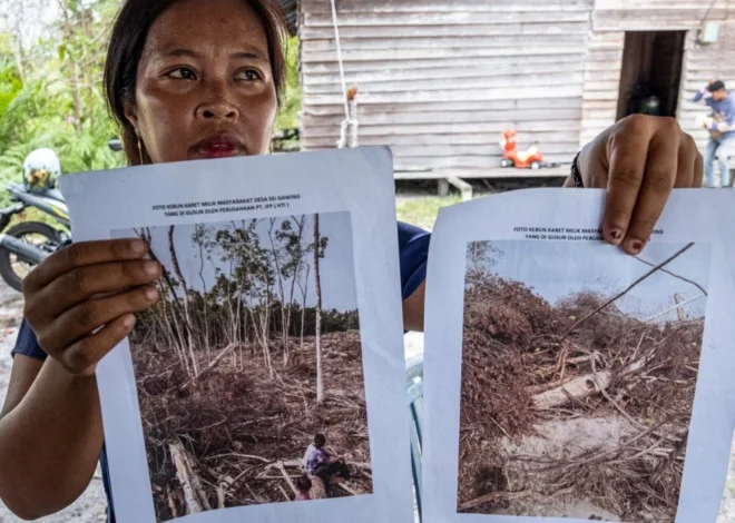 Indonesia Supreme Court Upholds Acquittal of Indigenous Dayak Farmer Misran Toni Amid Coal Mining Protest Conflict