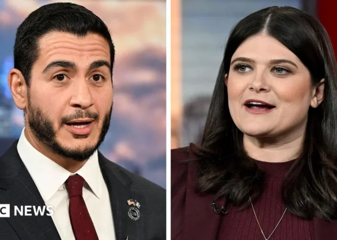 Left-wing political outsider Abdul El-Sayed wins Democratic Senate primary in Michigan