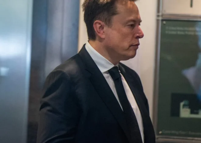 Musk says French Greens’ presidential candidate should be ‘shut down’