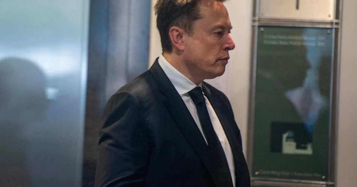 Musk says French Greens’ presidential candidate should be ‘shut down’