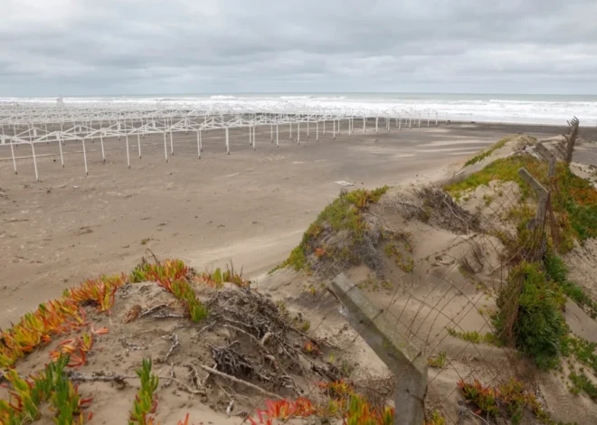 Tragic Femicide Rocks Mar del Plata: Two Arrested in Connection with the Murder of Johana Mailén Antonich