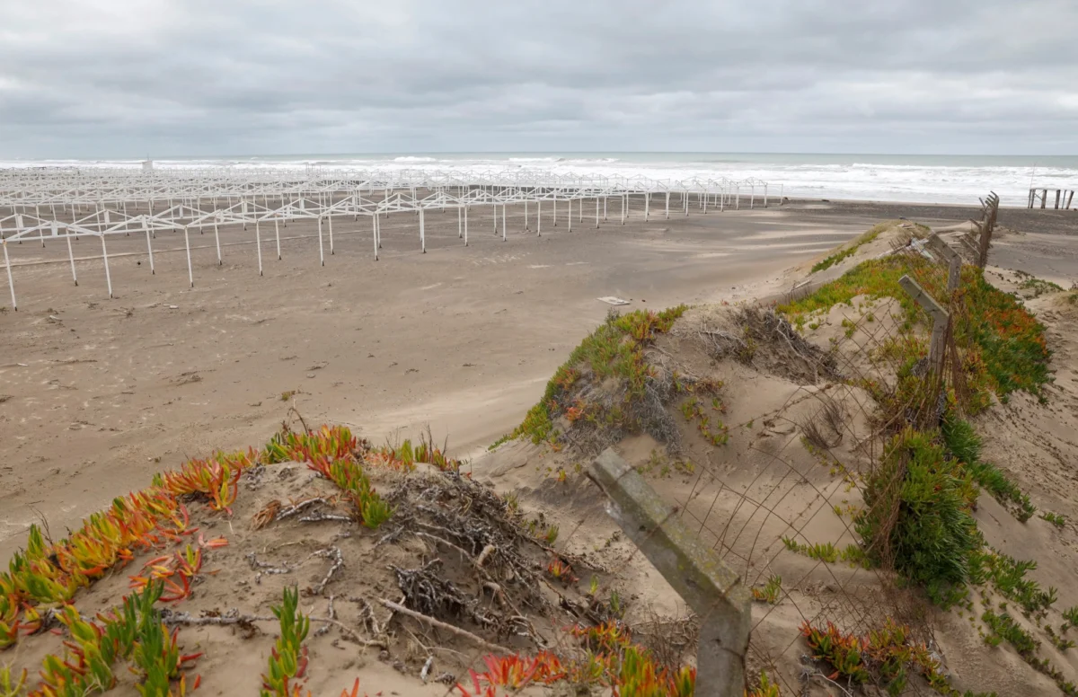 Tragic Femicide Rocks Mar del Plata: Two Arrested in Connection with the Murder of Johana Mailén Antonich