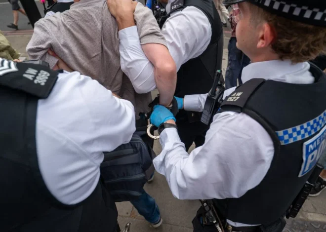 UK Supreme Court to Review Terrorist Designation of Palestine Action Amid Growing Concerns Over Protest Rights