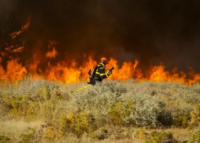 UN Secretary-General and European Leaders Warn of Escalating Climate Crisis as Wildfires Ravage the Continent and El Niño Intensifies